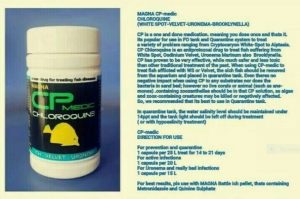 Fish tank chloroquine